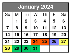 Speedboat Tour January Schedule