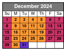 Speedboat Tour December Schedule