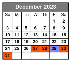 Wynwood Art District Tours December Schedule