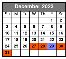 Wynwood Buggies Tour December Schedule