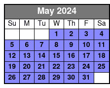 Wynwood Buggies Tour May Schedule