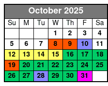Everglades Express Small Group Tour from Miami with Airboat Ride October Schedule