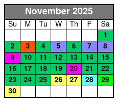 Everglades Express Small Group Tour from Miami with Airboat Ride November Schedule