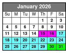 Everglades Express Small Group Tour from Miami with Airboat Ride January Schedule