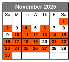 Best of Miami Tour Upgrade November Schedule