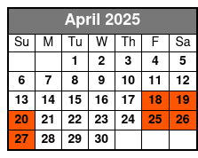 2 Hour Guided Electric Bike Tour of Fort Lauderdale. April Schedule