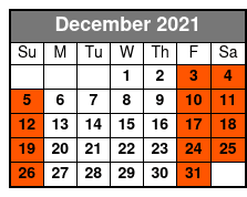 Venice Of America Sightseeing Tour December Schedule