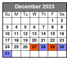 Miami Beach Bike Tour December Schedule