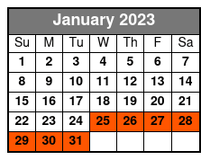 South Beach Tandem Bike Rental January Schedule