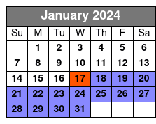 Rollerblade Rental in Miami Beach January Schedule