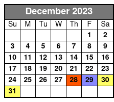 90min & Hop on Hop Off December Schedule