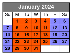 Big Bus Miami Night Tour January Schedule