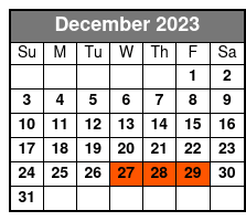 1 Hour Jet Ski Rental December Schedule
