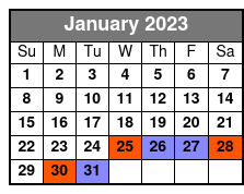 Afternoon Everglades Tour In Miami With Airboat Ride & Show January Schedule