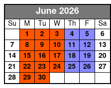 Stand-Up Paddle Board Lesson 1 on 1 June Schedule