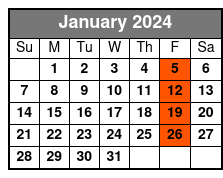 Santa Fe Intuition Workshop January Schedule