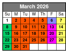 The Lost Tomb: Hidden Temple Theme Escape Room at Extreme Escape San Antonio March Schedule