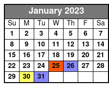 Escape Game Epic 60-Minute Adventures in San Antonio January Schedule