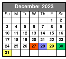 Texas Selfie Museum, All Day VIP Pass December Schedule