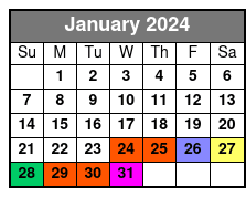 Texas Selfie Museum, All Day VIP Pass January Schedule