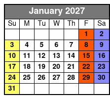 Private Or Couple’s Tarot Reading January Schedule