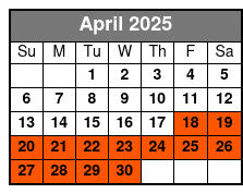 San Antonio’s Historic Mission Trail A Timeless Journey April Schedule