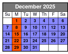 The Magic Saloon Immersive Experience and Show Ticket December Schedule