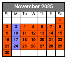 Magic Saloon - Preferred Seating November Schedule