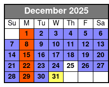 Magic Saloon - Preferred Seating December Schedule