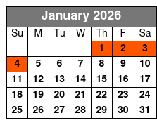 San Antonio Museum Pass January Schedule