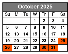 Alamo and More Helicopter Tour - San Antonio October Schedule