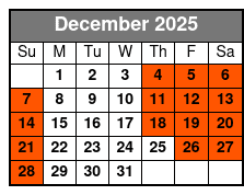Downtown San Antonio & Riverwalk Helicopter Flight December Schedule