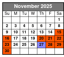 San Antonio Alamo Helicopter Tours November Schedule