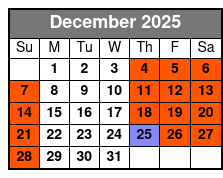 San Antonio Alamo Helicopter Tours December Schedule