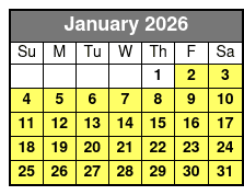 San Antonio Alamo Helicopter Tours January Schedule