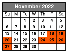 Institute of Texan Cultures November Schedule