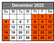 Institute of Texan Cultures December Schedule