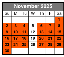 Segway Tour of Historic San Antonio November Schedule