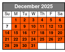 San Antonio Full-Day Historic City Tour December Schedule