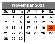 San Antonio to Fredericksburg & Luckenbach Wine Tour November Schedule