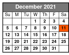 San Antonio to Fredericksburg & Luckenbach Wine Tour December Schedule