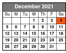 San Antonio to Fredericksburg Wine Tour with Italian Meal December Schedule