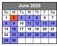 Private Missions and More - Half-Day City Tour June Schedule