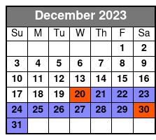 San Antonio from 1700's to Present Private Half-Day Tour December Schedule