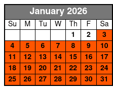 Best of San Antonio Sightseeing Tour January Schedule