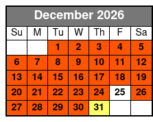 Best of San Antonio Sightseeing Tour December Schedule
