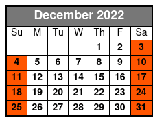 Half-Day Private Inshore Fishing in Sarasota December Schedule