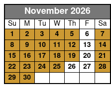 2 Hour Private Dolphin Cruise & Bay Tour November Schedule