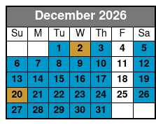 2 Hour Private Dolphin Cruise & Bay Tour December Schedule