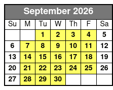 Private 3 Hour Powerboat Dolphin Cruise with Remote Beach Stop Up to 6 Guests September Schedule